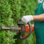 Professional Landscaping Services in Casselberry, FL