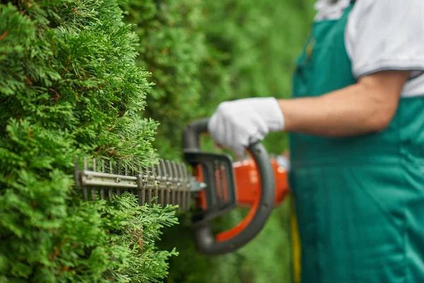 Professional Landscaping Services in Casselberry, FL