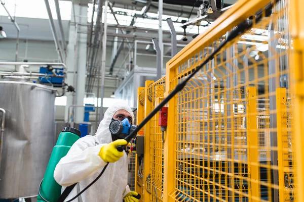 Hidden Moisture in Walls: The Silent Reason Pests Invade Your Home