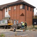 Tree Service Lake Geneva Expert Care for Healthy, Beautiful Trees