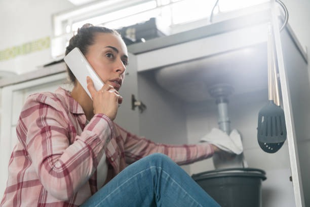 Affordable plumber tampa Services for Residential and Commercial Needs