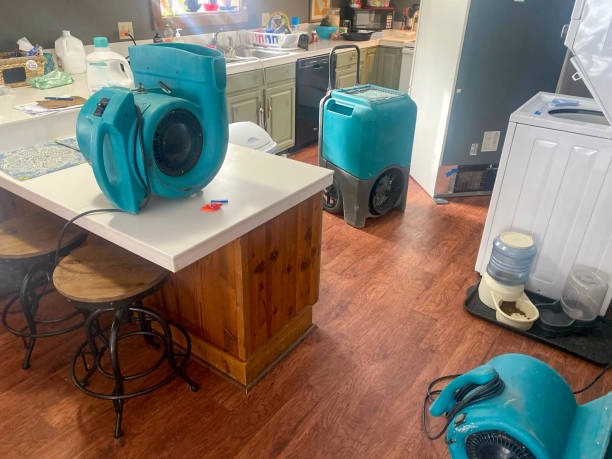 Professional 2 Brothers Restoration Services for Emergency Damage Cleanup