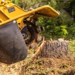 Top Reasons to Remove Tree Stumps Before Building a Fence