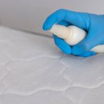 Smart Mold Prevention Services for a Healthier Indoor Environment