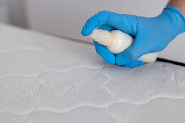 Smart Mold Prevention Services for a Healthier Indoor Environment