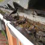 Efficient Window Washing Near Me for Residential Properties