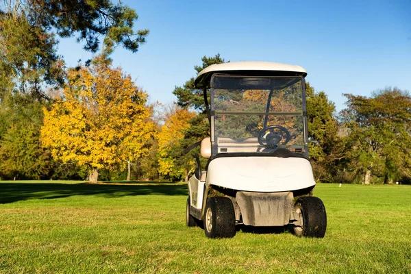 Upgrade Your Ride with a Dependable Golf Cart Dealer