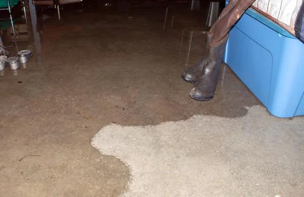Crawl Space Repair in Prince George to Prevent Moisture Damage